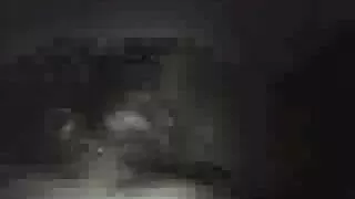 شہد کینیڈین لڑکی فلم سکسی روسی سینٹر سفید ہو جاتا ہے closeup ، بلی کے میدان پر